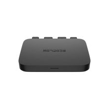 Načíst obrázek do prohlížeče Galerie, EcoFlow alternátorový nabíječ 3v1